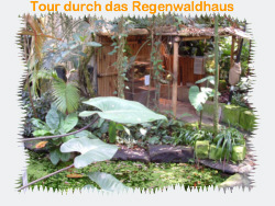 Regenwaldhaus