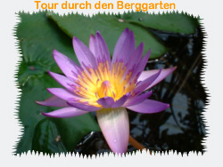 Tour durch den Berggarten
